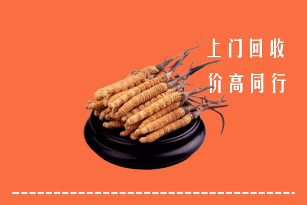 高价求购：阿克苏柯坪回收散虫草