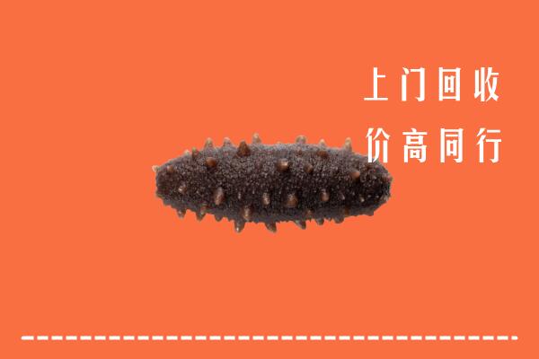 高价求购：阿克苏柯坪回收海参