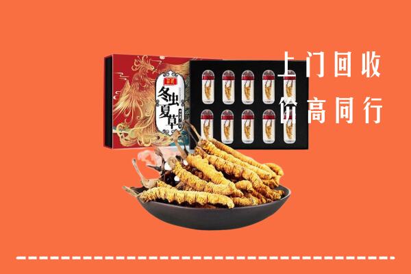 阿克苏柯坪回收虫草